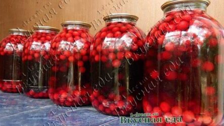 Компот из черешни на зиму